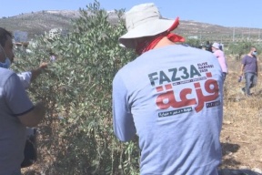 إطلاق حملة “فزعة” لدعم صمود المزارعين غداً