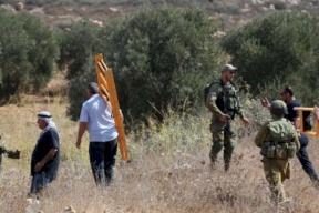 القطاع الزراعي للمنظمات الأهلية: ما يجري من اعتداءات بحق المزارعين حرب معلنة بقرار رسمي احتلالي 