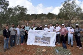 المنظمات الأهلية: مساندة المزارعين في قطف الزيتون تثبيت للوجود الفلسطيني