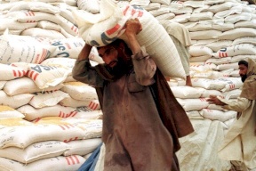 "طالبان" تعلن برنامج "العمل مقابل القمح" لمواجهة البطالة