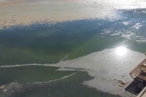 الأسباب مجهولة.. نفوق أعداد كبيرة من الأسماك في سد بالأردن