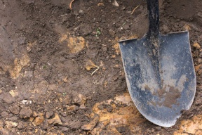 مصرية تدفن زوجها حياً.. تفاصيل الجريمة مُفاجئة!