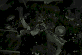 قانوني يثير الجدل في قضية أم تركت طفليها حتى تفحما في الشقة: "لن تتعاقب"!