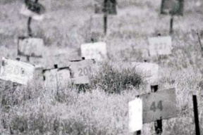  الاحتلال ما يزال يحتجز 90 شهيدا منذ عام 2016