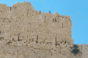 الأردن.. مصرع شاب إثر سقوطه من أعلى قلعة الكرك