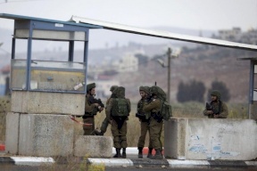 ماذا تعرفون عن "الذئب الإسرائيلي الأزرق"؟