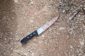 الجامعة الأمريكية بعد جريمة قتل أحد طلبتها: طالبنا مراراً بتواجد الأمن