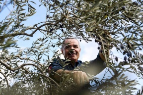 هل حقاً انخفضت البطالة في فلسطين كما قال رئيس الوزراء؟!