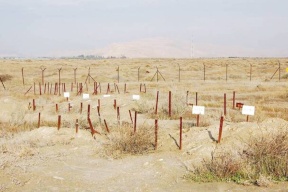 جنين: تواصل الفعاليات المطالبة بتسليم جثامين الشهداء