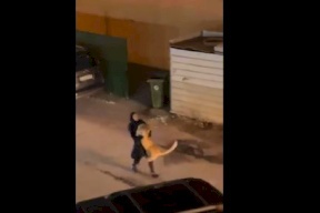 فيديو مفاجئ- فتاة كويتية تقبض على أسد هارب أثار الرعب!