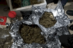 نفق أسفل منزل.. ضبط معمل لزراعة وتصنيع المخدرات في عناتا! (صور)