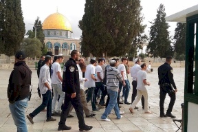 عشرات المستوطنين يقتحمون الأقصى