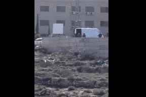 مستعربون يقتحمون جامعة بيرزيت ويعتقلون ويصيبون عدة طلبة (فيديو)