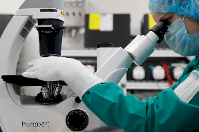 فلسطين: 6 وفيات و431 إصابة جديدة بفيروس كورونا