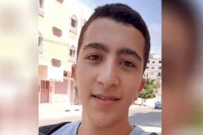 وزيرة الصحة: لجنة تحقيق ستبحث في ملف وفاة الطفل سليم النواتي