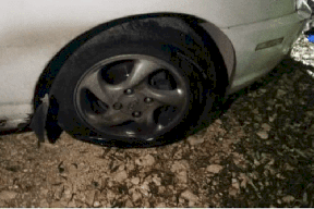 مستوطنون يقتحمون مقامات إسلامية ويحطمون 3 مركبات في كفل حارس