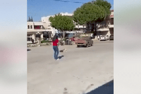 شاهد| فيديو يثير الجدل في لبنان.. امرأة تقتل كلبا رميا بالرصاص!
