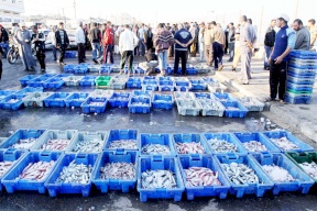 قناة عبرية تزعم: سبب منع تصدير الأسماك من غزة هو "التهريب"