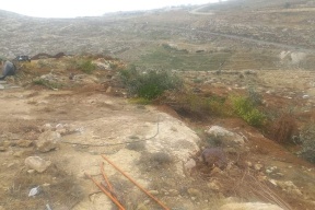 صور- الاحتلال يقتلع أكثر من 100 شجرة في حزما