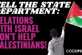فلسطينيون بأميركا يطالبون بلينكن بمراجعة علاقة بلاده مع الاحتلال
