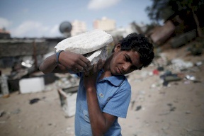 فلسطين: عمالة الأطفال  في 2022 بلغت 3% 