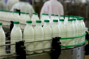 تحليل: ارتفاع أسعار الحليب والألبان الإسرائيلية.. فرصة لدعم المنتج الوطني؟