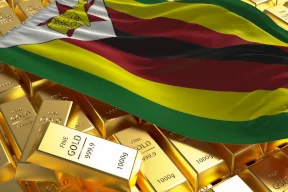 زيمبابوي تطرح عملة مشفرة مدعومة بالذهب رغم تحذير صندوق النقد