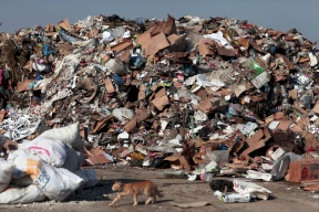 "جودة البيئة": سنتصدى لمخططات الاحتلال إقامة 33 موقعا للتخلص من النفايات في أراض فلسطينية