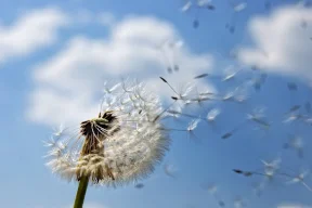 حالة الطقس: أجواء حارة نسبيًا