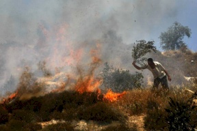 مستعمرون يحرقون أشجار زيتون ومحاصيل زراعية في قرية المغير شرق رام الله