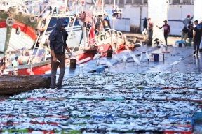 الاتحاد الأوروبي مستعد لإبرام اتفاق جديد للصيد البحري مع المغرب