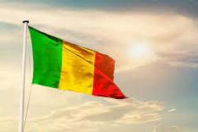 المجلس الدستوري يصادق على الفوز الساحق لمؤيدي الدستور الجديد في مالي