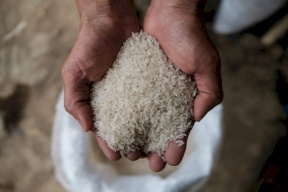 فلسطين: أسعار ووفرة الأرز لن تتأثر بالحظر الهندي