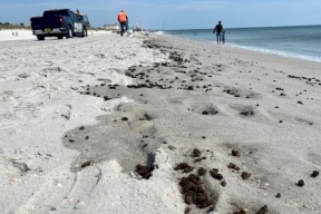 العثور على كمية كبيرة من المخدرات على شاطئ فلوريدا