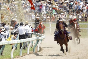 تعرّض 111 حصاناً لضربة شمس خلال مهرجان تقليدي في اليابان