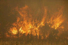 تحذير من درجات حرارة قياسية في إسبانيا والبرتغال فيما حرائق الغابات مستعرّة