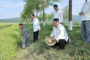 الزعيم الكوري الشمالي يتفقّد مزارع ضربها إعصار وسط نقص في المواد الغذائية