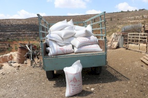 بعد حصار مشدد- "الزراعة" توزع 17 طن من الأعلاف لمزارعي عقربا