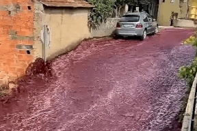 النبيذ يجتاح شوارع قرية في البرتغال