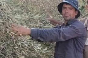 فيديو: استشهاد مواطن برصاص مستوطن جنوب نابلس