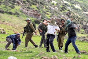 مستوطنون يهاجمون قاطفي الزيتون في عدة محافظات بالضفة