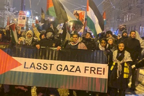 فيديو: تظاهرة في النمسا تضامنا مع قطاع غزة