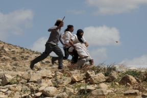 الاحتلال يعتقل ثلاثة من رعاة الأغنام في مسافر يطا بعد تعرضهم لاعتداء مستعمرين