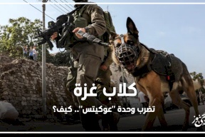 كلاب غزة تضرب وحدة "عوكيتس".. كيف؟
