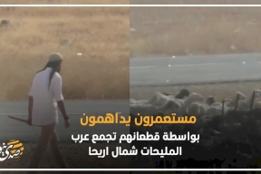 فيديو: منظمة البيدر ؛مستعمرون يداهمون بواسطة قطعانهم تجمع عرب المليحات شمال اريحا 