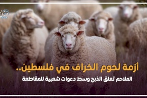 أزمة لحوم الخراف في فلسطين.. الملاحم تعلق الذبح وسط دعوات شعبية للمقاطعة