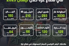 إنفوغراف: ارتفاع حاد بالأسعار الاستهلاكية في قطاع غزة خلال نيسان 2025
