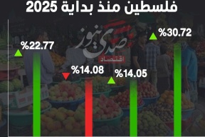 مؤشر غلاء المعيشة في فلسطين منذ بداية 2025