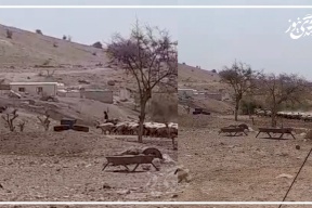 مستوطنون يحاصرون تجمع شلال العوجا في محاولة للسيطرة عليه (فيديو)
