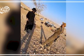 فيديو:: منظمة البيدر: مستوطنون يتجولون بين السكان بحماية الجيش في تجمع شلال العوجا